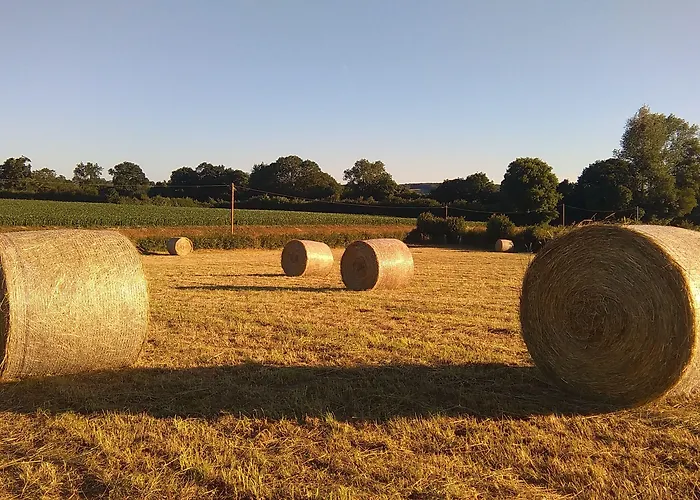 Le Douitel Bed & Breakfast